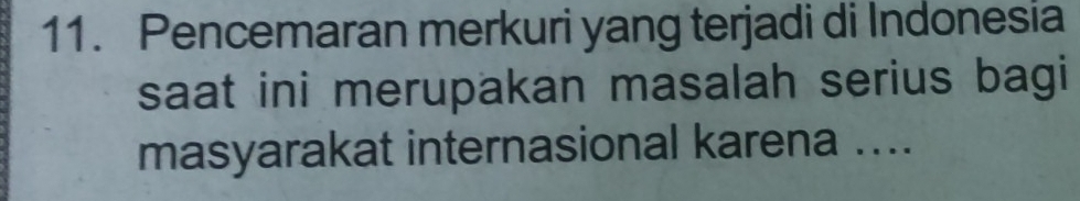 Pencemaran merkuri yang terjadi di Indonesia 
saat ini merupakan masalah serius bagi 
masyarakat internasional karena ....