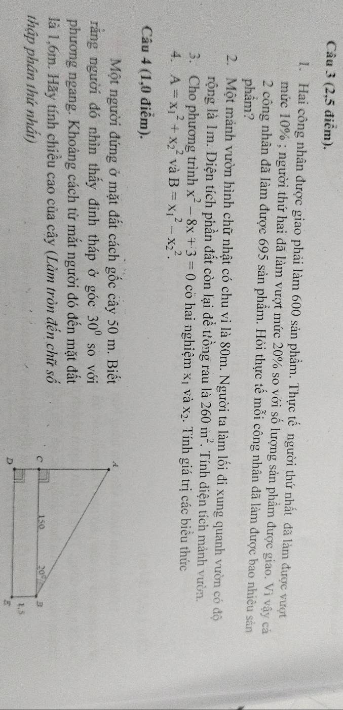 (2,5 điểm).
1. Hai công nhân được giao phải làm 600 sản phẩm. Thực tế người thứ nhất đã làm được vượt
mức 10% ; người thứ hai đã làm vượt mức 20% so với số lượng sản phẩm được giao. Vì vậy cả
2 công nhân đã làm được 695 sản phẩm. Hỏi thực tế mỗi công nhân đã làm được bao nhiêu sản
phẩm?
2. Một mảnh vườn hình chữ nhật có chu vi là 80m. Người ta làm lối đi xung quanh vườn có độ
rộng là 1m. Diện tích phần đất còn lại để trồng rau là 260in^2. Tính diện tích mảnh vườn.
3. Cho phương trình x^2-8x+3=0 co hai nghiệm X_1 và X_2. Tính giá trị các biểu thức
4. A=x_1^(2+x_2^2 và B=x_1^2-x_2^2.
Câu 4 (1,0 điểm).
Một người đứng ở mặt đất cách gốc cây 50 m. Biết 
răng người đó nhìn thấy đinh tháp ở góc 30^circ) so với
phương ngang. Khoảng cách từ mắt người đó đến mặt đất
là 1,6m. Hãy tính chiều cao của cây (Làm tròn đến chữ số
thập phần thứ nhất)