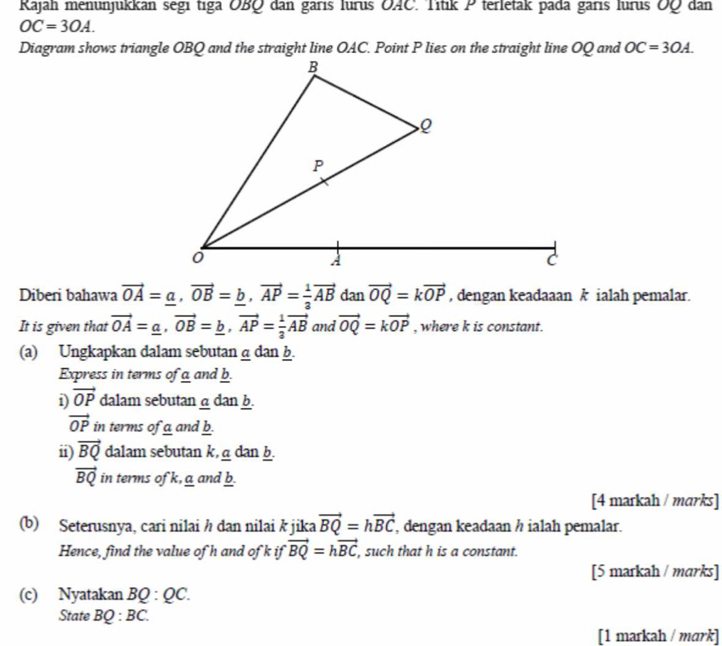 Kajah menunjukkan segi tiga OBQ dan garıs lurus OAC. Titik P terletak pada garıs lurus ÖQ dan
OC=3OA.
OC=3OA. 
Diberi bahawa vector OA=_ a, vector OB=_ b, vector AP= 1/3 vector AB dan vector OQ=kvector OP , dengan keadaaan k ialah pemalar. 
It is given that vector OA=_ a, vector OB=_ b, vector AP= 1/3 vector AB and vector OQ=kvector OP , where k is constant. 
(a) Ungkapkan dalam sebutan a dan b. 
Express in terms of a and b. 
i) vector OP dalam sebutan a dan b.
vector OP in terms of a and b. 
ii) vector BQ dalam sebutan k, a dan b.
vector BQ in terms of k, a and b. 
[4 markah / marks] 
(b) Seterusnya, cari nilai h dan nilai k jika vector BQ=hvector BC , dengan keadaan h ialah pemalar. 
Hence, find the value of h and of k if vector BQ=hvector BC , such that h is a constant. 
[5 markah / marks] 
(c) Nyatakan BQ:QC. 
State BQ:BC. 
[1 markah / mɑrk]