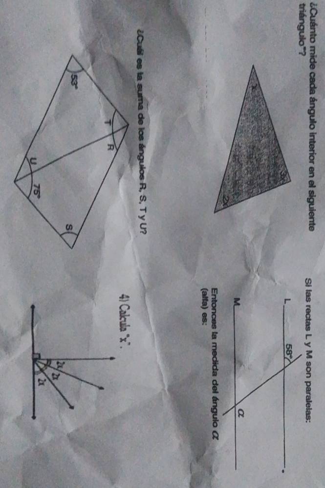 ¿Cuánto mide cada ángulo interior en el siguiente Si las rectas L y M son paralelas:
triángulo"?
Entonces la medida del ángulo α
(alfa) es:
Cuái es la suma de los ángulos R, S, T y U?
4) Calcula "x".