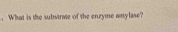 What is the substrate of the enzyme amylase?