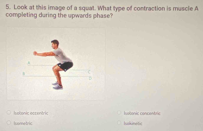 Look at this image of a squat. What type of contraction is muscle A
completing during the upwards phase?
Isotonic eccentric Isotonic concentric
Isometric Isokinetic