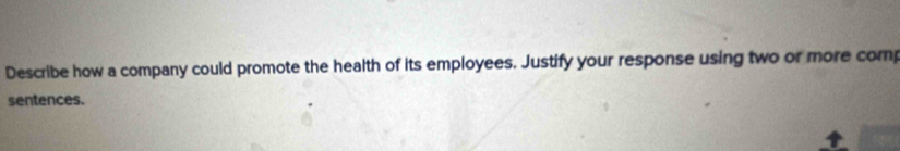 Describe how a company could promote the health of its employees. Justify your response using two or more comp 
sentences.