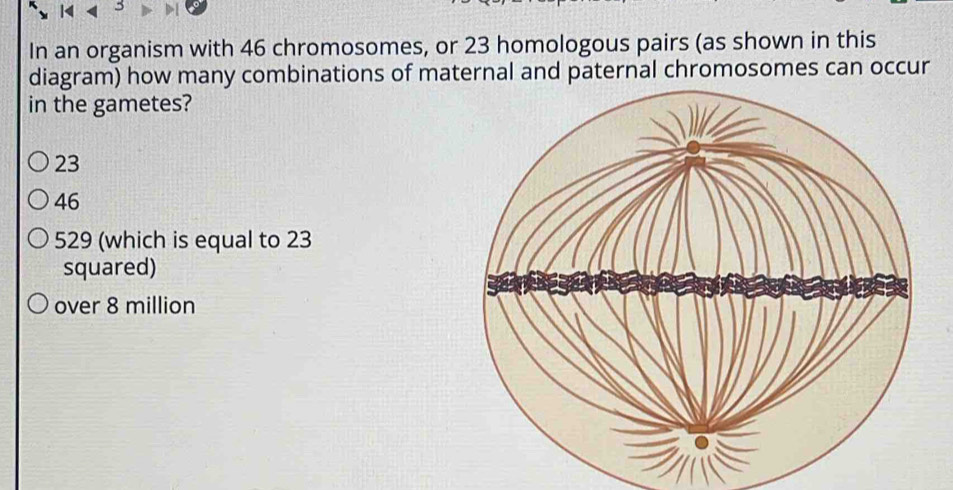 In an organism with 46 chromosomes, or 23 homologous pairs (as shown in this
diagram) how many combinations of maternal and paternal chromosomes can occur
in the gametes?
23
46
529 (which is equal to 23
squared)
over 8 million