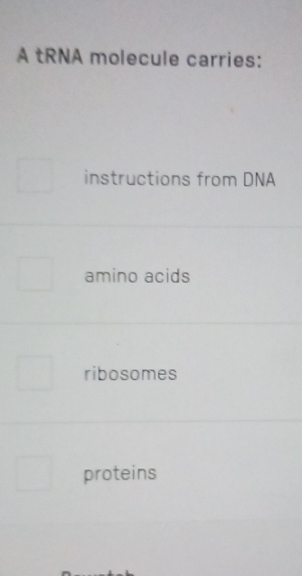 A tRNA molecule carries:
instructions from DNA
amino acids
ribosomes
proteins