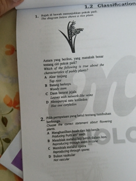 1.2 Classifcation
1. Rajah di bawah menunjukkan pokok padi.
The diagram below shows a rice plant.
Antara yang berikut, yang manakah benar
tentang ciri pokok padi?
Which of the following is true about the
characteristics of paddy plants?
A Akar tunjang
Tap root
B Batang berkayu
Woody stem
C Daun berurat jejala
Leaves with network-like veins
D Mempunyai satu kotiledon
Has one coryledon
2. Pilih pernyataan yang betul tentang tumbuhan
berbunga.
Choose the correct statement about flowering
plants.
A Menghasilkan buah dan biji benih
Producing fruits and seeds
B Membiak melalui biji benih dalam kon
Reproducing through seeds in cone
C Membiak melalui spora
Reproducing through spores
D Bukan vaskular
Not vascular