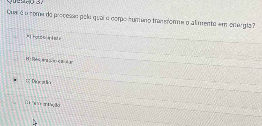 Qualé o nome do processo pelo qual o corpo humano transforma o alimento em energia?
A) Fotossíntese
B) Respiração celular
C) Digestão
D) Fermentação