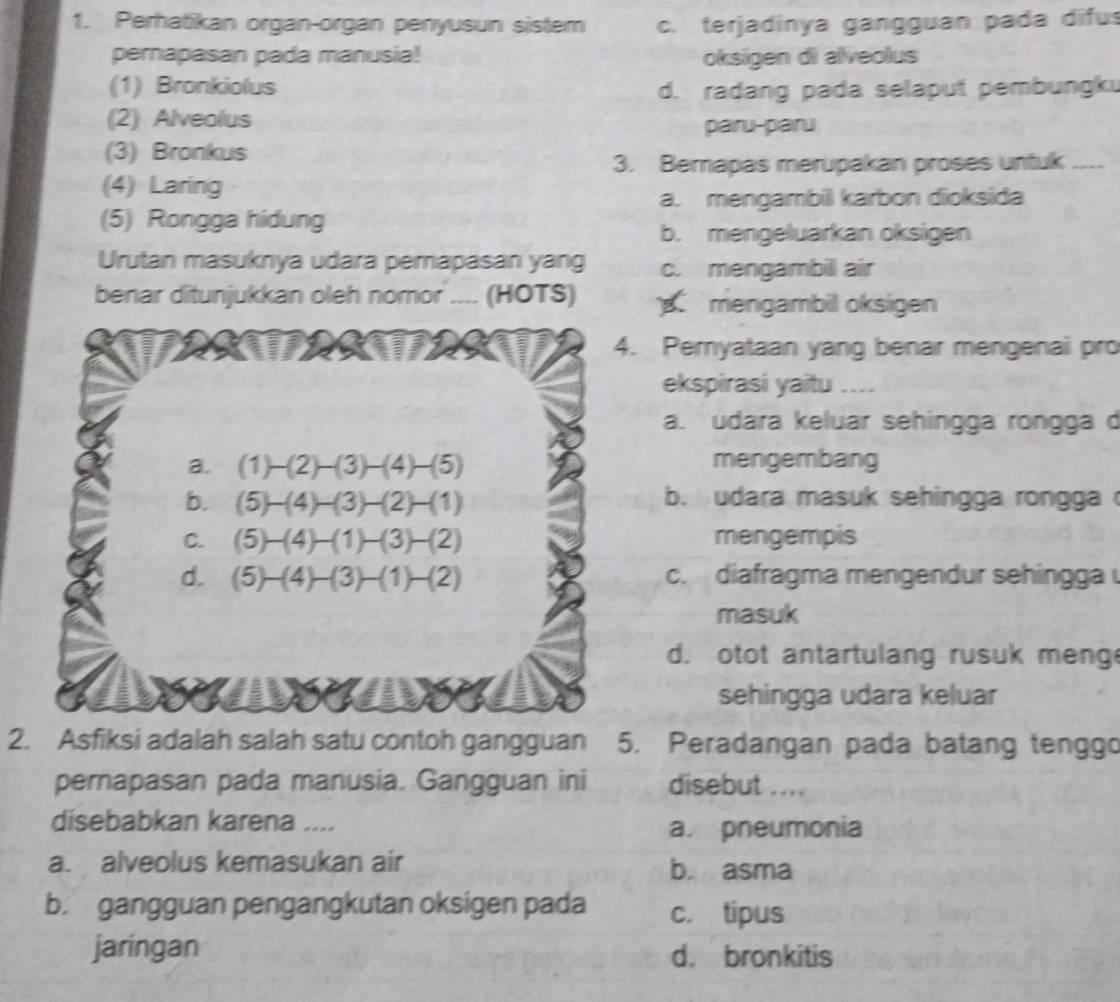 Perhatikan organ-organ penyusun sistem c. terjadinya gangguan pada difus
perapasan pada manusia! oksigen di alveolus
(1) Bronkiolus d. radang pada selaput pembungku
(2) Alveolus paru-paru
(3) Bronkus
3. Bernapas merupakan proses untuk_
(4) Laring
a. mengambil karbon dioksida
(5) Rongga hidung
b. mengeluarkan oksigen
Urutan masuknya udara pemapasan yang c. mengambil air
benar ditunjukkan oleh nomor .... (HOTS) mengambil oksigen
4. Pemyataan yang benar mengenai pro
ekspirasi yaitu ....
a. udara keluar sehingga rongga d
a. (1) (2)-(3) (4) (5) mengembang
b. (5)-(4)-(3)-(2)-(1) b. udara masuk sehingga rongga
C. (5)-(4)-(1)- (3)-(2) mengempis
d. (5)-(4)-(3)-(1)-(2) c. diafragma mengendur sehingga 
masuk
d. otot antartulang rusuk meng
sehingga udara keluar
2. Asfiksi adalah salah satu contoh gangguan 5. Peradangan pada batang tenggo
pernapasan pada manusia. Gangguan ini disebut ....
disebabkan karena ....
a. pneumonia
a. alveolus kemasukan air b. asma
b. gangguan pengangkutan oksigen pada c. tipus
jaringan d. bronkitis