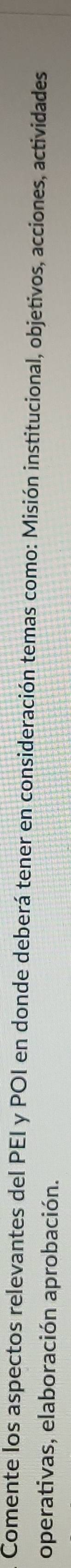 Comente los aspectos relevantes del PEI y POI en donde deberá tener en consideración temas como: Misión institucional, objetivos, acciones, actividades 
operativas, elaboración aprobación.