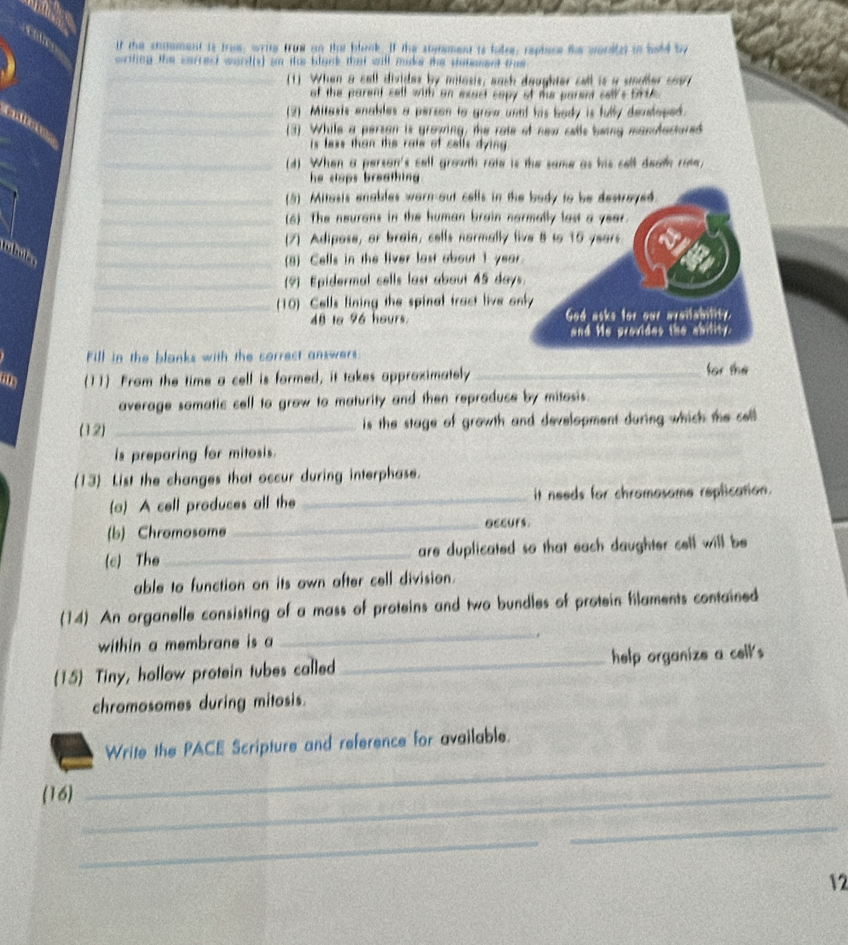 Cle if the snnament is tree; wrig trum on the blunk. If the siment is tolse; replace the wordlst to hold by
  
writing the carrest words) an the blank that will mike the statesent the
_
_
(1) When a call divides by milosis, ansh deughter call is a smoller so97
of the parent sell with an exact capy of the parent sell's DrA
_ 
(2) Mitasis enakles a person to grow unnt his body is fully developed.
_
(3). While a person is growing, the rate of new cells being manfactured
is less than the rate of cells dying.
_(d) When a person's cell growth rate is the same as his cell death rae
he ctaps breathing .
_(5) Mitasis enables warn-out cells in the budy to be destrayed.
_(6) The neurans in the human brain normally last a year.
_(7) Adipose, or brain, cells normally live 8 to 15 years.
Dânias
_(8) Cells in the liver last about 1 year.
_(9) Epidermal cells last about 45 days.
_(10) Cells lining the spinal tract live only
48 to 96 hours. God aske for our availability
and He provides the ability.
Fill in the blanks with the correct answers.
his (11) From the time a cell is formed, it takes approximately_
for the
average somatic cell to grow to maturity and then reproduce by mitosis.
(12) _is the stage of growth and development during which the cell 
is preparing for mitosis.
(13) List the changes that occur during interphase.
(a) A cell produces all the _it needs for chromosome replication.
(b) Chromosome
_accurs.
(c) The _are duplicated so that each daughter cell will be
able to function on its own after cell division.
_
(14) An organelle consisting of a mass of proteins and two bundles of protein flaments contained
within a membrane is a
*
15 Tiny, hollow protein tubes called _help organize a cell's
chromosomes during mitosis.
_
Write the PACE Scripture and reference for available.
(16)_
_
_
12