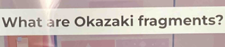 What are Okazaki fragments?