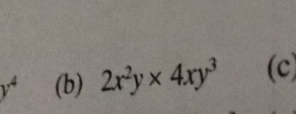 y^4 (b) 2x^2y* 4xy^3 (c)