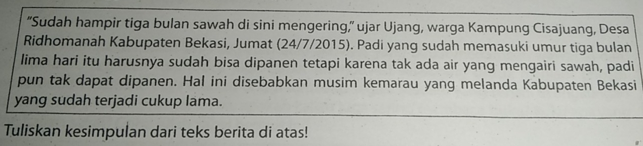 “Sudah hampir tiga bulan sawah di sini mengering,” ujar Ujang, warga Kampung Cisajuang, Desa 
Ridhomanah Kabupaten Bekasi, Jumat (24/7/2015). Padi yang sudah memasuki umur tiga bulan 
lima hari itu harusnya sudah bisa dipanen tetapi karena tak ada air yang mengairi sawah, padi 
pun tak dapat dipanen. Hal ini disebabkan musim kemarau yang melanda Kabupaten Bekasi 
yang sudah terjadi cukup lama. 
Tuliskan kesimpulan dari teks berita di atas!