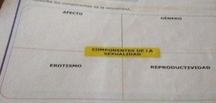 be los componentes de la sexualidad.
AFECTO
Gênero
componentes de la SEXUALIDAD
EROTISMO REPRODUCTIVIDAD