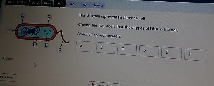 er v Q2 Q3 √ Q4 √ Q5 Q6 Q7 Results
This diagram represents a bacteria cell.
Choose the two labels that show types of DNA in the cell.
Select all correct answers
A B C D E F
Q Zsom
don't know