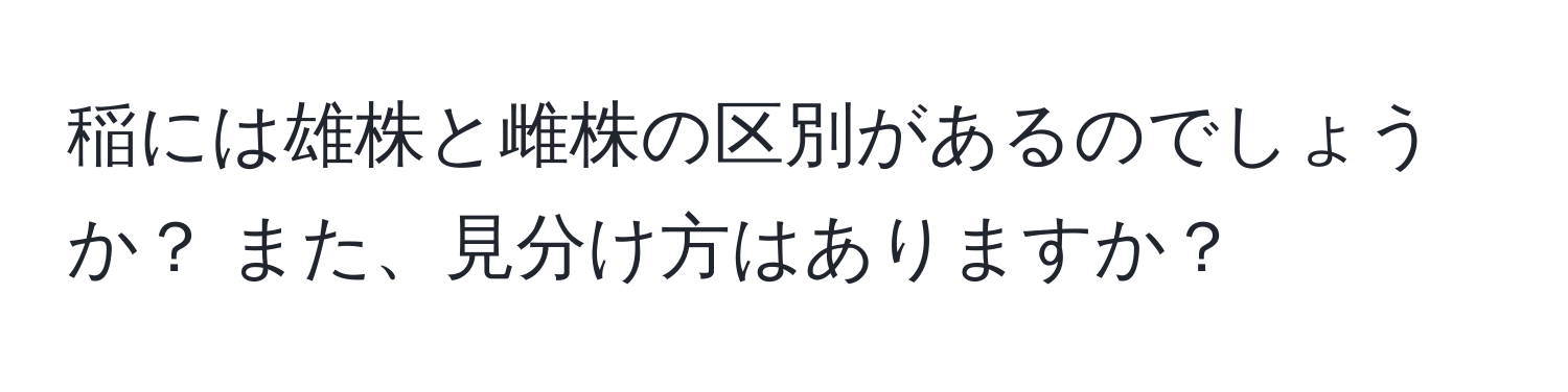 稲には雄株と雌株の区別があるのでしょうか？ また、見分け方はありますか？