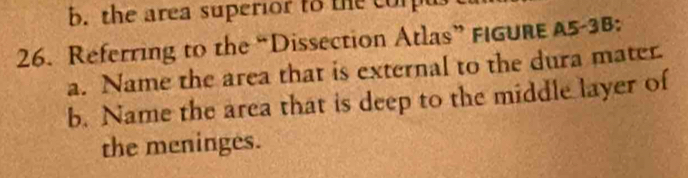 b. the area superior to the corp
26. Referring to the “Dissection Atlas” FIGURE A5-3B:
a. Name the area that is external to the dura mater
b. Name the area that is deep to the middle layer of
the meninges.