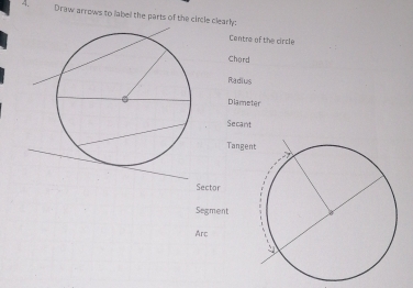 Solved: Draw arrows to label the parts of the circle clearly: Centre of ...