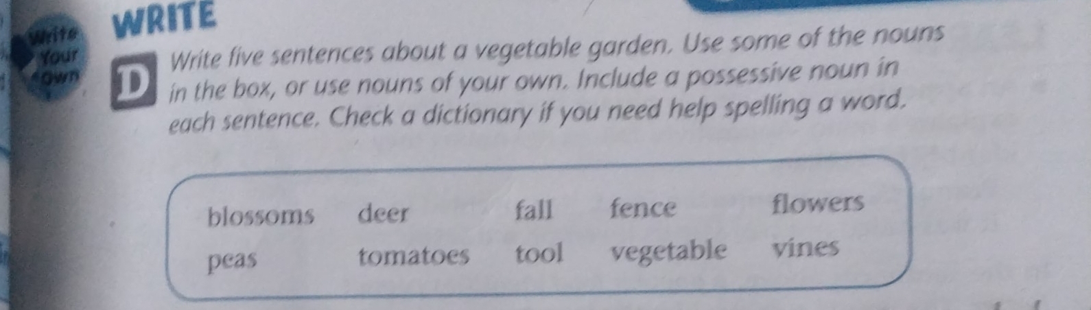 White WRITE
Your
Write five sentences about a vegetable garden. Use some of the nouns
*own D in the box, or use nouns of your own. Include a possessive noun in
each sentence. Check a dictionary if you need help spelling a word.
blossoms deer fall fence flowers
peas tomatoes tool vegetable vines