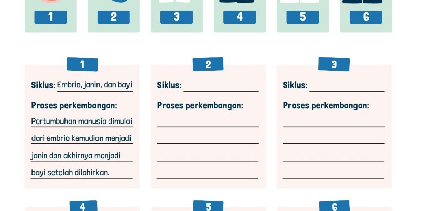 1 2
3
4
5
6
1
2
3
Siklus: Embrio, janin, dan bayi Siklus: _Siklus:_
Proses perkembangan: Proses perkembangan: Proses perkembangan:
Pertumbuhan manusia dimulai_
_
dari embrio kemudian menjadi_
_
janin dan akhirnya menjadi
__
__
bayi setelah dilahirkan.
4
5
6