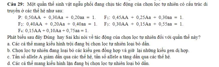 Một quần thể sinh vật ngẫu phối đang chịu tác động của chọn lọc tự nhiên có cầu trúc di
truyền ở các thể hệ như sau:
P: 0,50AA+0,30Aa+0,20aa=1. F_1:0,45AA+0,25Aa+0,30aa=1.
F_2 0,40AA+0,20Aa+0,40aa=1. F_3:0,30AA+0,15Aa+0,55aa=1.
F_4 0,15AA+0,10Aa+0,75aa=1. 
Phát biểu sau đây Đúng hay Sai khi nói về tác động của chọn lọc tự nhiên đổi với quần thể này?
a. Các cá thể mang kiểu hình trội đang bị chọn lọc tự nhiên loại bỏ dần.
b. Chọn lọc tự nhiên đang loại bỏ các kiểu gen đồng hợp và giữ lại những kiểu gen dị hợp.
c. Tần số allele A giảm dần qua các thể hệ, tần số allele a tăng dẫn qua các thể hệ.
d. Các cá thể mang kiểu hỉnh lặn đang bị chọn lọc tự nhiên loại bỏ đẫn.