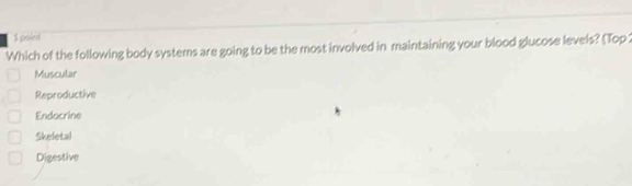 poiet
Which of the following body systems are going to be the most involved in maintaining your blood glucose levels? (Top 2
Muscular
Reproductive
Endocrine
Skeletal
Digestive