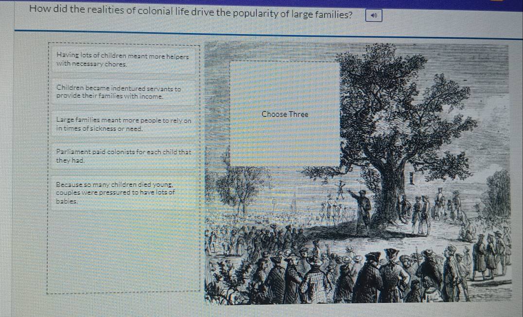 How did the realities of colonial life drive the popularity of large families?
Having lots of children meant more helper
with necessary chores
Children became indentured servants to
provide their families with income
Large families meant more people to rely o
in times of sickness or need.
Parliament paid colonists for each child tha
they had.
Because so many children died young,
couples were pressured to have lots of
babies