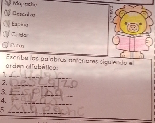 Mapache 
Descalzo 
; 
Espina 
Cuidar 
Patas 
Escribe las palabras anteriores siguiendo el 
orden alfabético: 
1._ 

2._ 

3._ 
4._ 
5._