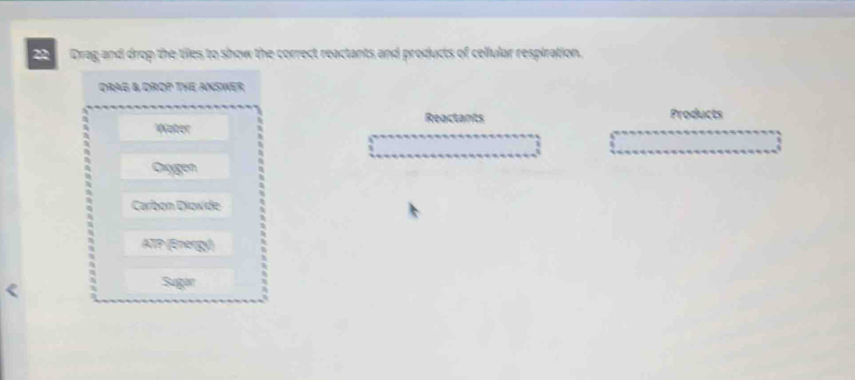 Drag and drop the tiles to show the correct reactants and products of cellular respiration. 
DRAG & DROP THE ANSWeR 
Reactants Products 
Water 
Oügen 
Carbon Diowide 
ATP (Energy) 
Sugan