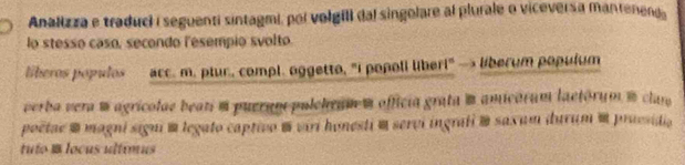 Analizza e traduci i seguenti sintagmi, poi volgili (dal singolare al plurale o viceversa mantene 
lo stesso caso, secondo lesempio svolto. 
liberos populos acc. m. plur, compl. oggetto, "I poñoll liberi" — liberum populum 
verba vera m agrícolae beati m puerum pulchrum m officia grata m amicárum laetórum m clam 
poetae % magni signi m legato captivo # vari honesti m servi ingrafi » saxum durum α praesidia 
tuto B locus ultimus