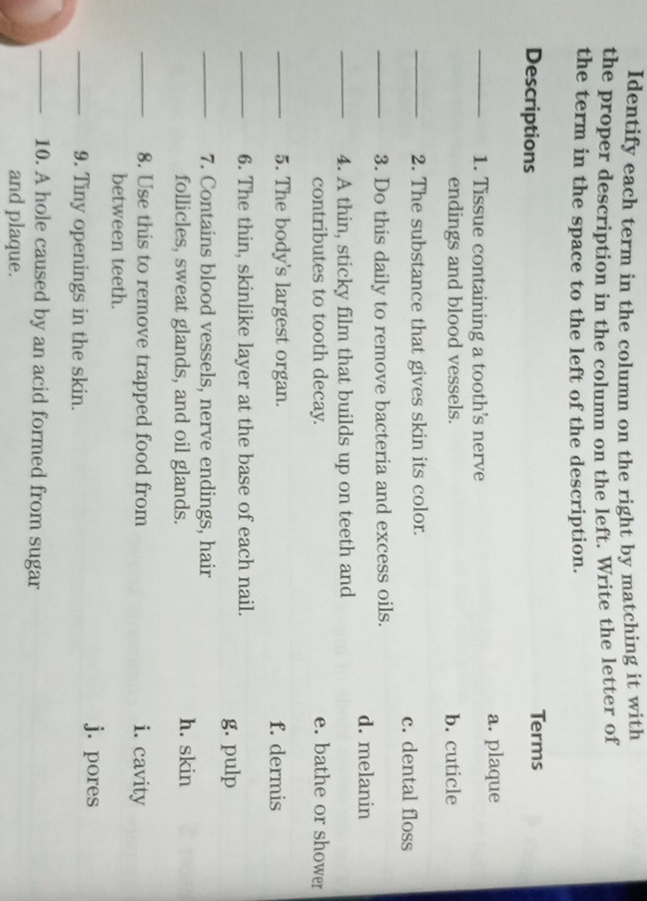 Identify each term in the column on the right by matching it with
the proper description in the column on the left. Write the letter of
the term in the space to the left of the description.
Descriptions Terms
a. plaque
_1. Tissue containing a tooth's nerve
endings and blood vessels. b. cuticle
_2. The substance that gives skin its color. c. dental floss
_3. Do this daily to remove bacteria and excess oils.
d. melanin
_4. A thin, sticky film that builds up on teeth and
contributes to tooth decay. e. bathe or shower
_5. The body's largest organ. f. dermis
_6. The thin, skinlike layer at the base of each nail. g. pulp
_7. Contains blood vessels, nerve endings, hair
follicles, sweat glands, and oil glands. h. skin
_8. Use this to remove trapped food from i. cavity
between teeth.
j. pores
_9. Tiny openings in the skin.
_10. A hole caused by an acid formed from sugar
and plaque.