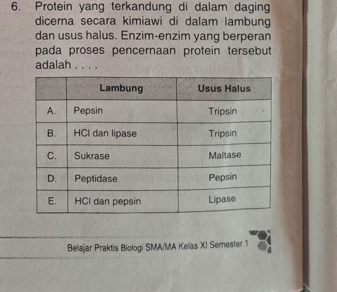 Protein yang terkandung di dalam daging 
dicerna secara kimiawi di dalam lambung 
dan usus halus. Enzim-enzim yang berperan 
pada proses pencernaan protein tersebut 
adalah . . . . 
Belajar Praktis Biologi SMA/MA Kelas XI Semester 1