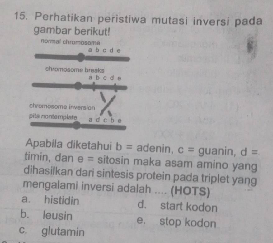 Perhatikan peristiwa mutasi inversi pada
gambar berikut!
normal chromosome
a b c d e
chromosome breaks
a b c d e
chromosome inversion
pita nontemplate a d c b e
Apabila diketahui b= adenin, c= 90 anin, d=
timin, dan e= sitosin maka asam amino yang
dihasilkan dari sintesis protein pada triplet yang
mengalami inversi adalah .... (HOTS)
a. histidin d. start kodon
b. leusin e. stop kodon
c. glutamin