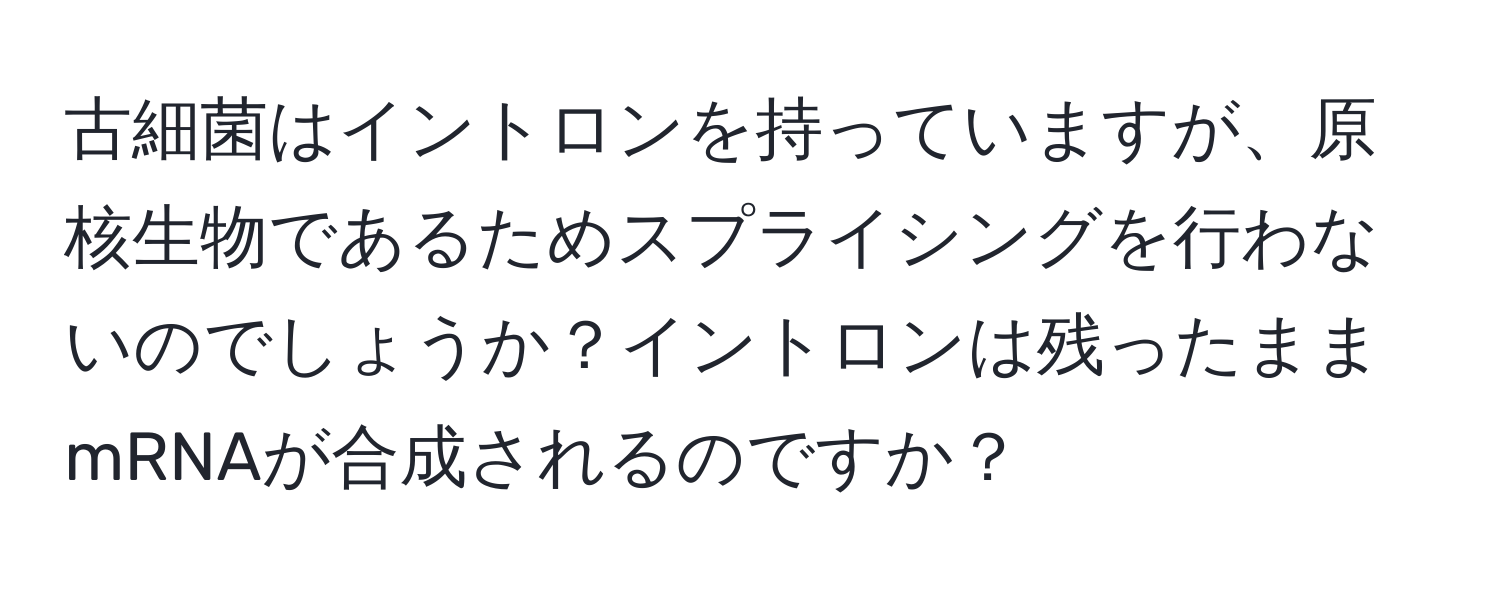 古細菌はイントロンを持っていますが、原核生物であるためスプライシングを行わないのでしょうか？イントロンは残ったままmRNAが合成されるのですか？