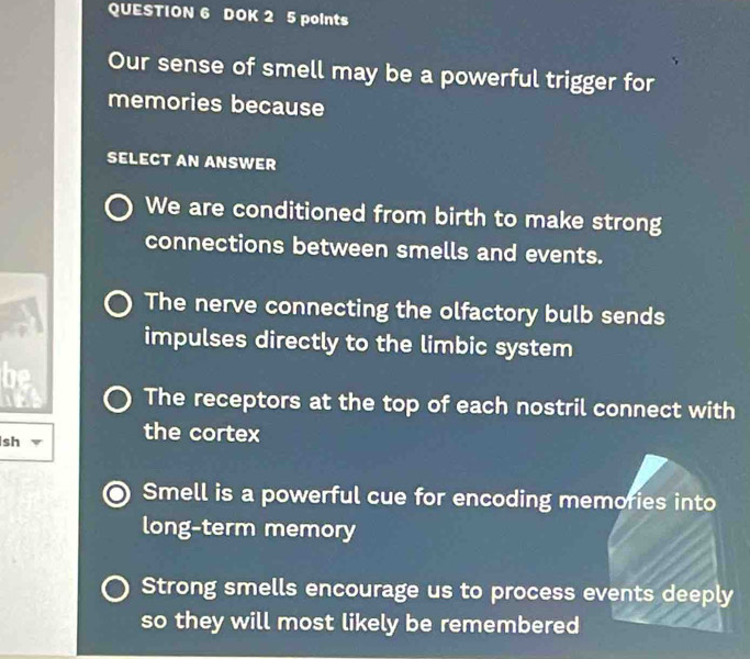 DOK 2 5 points
Our sense of smell may be a powerful trigger for
memories because
SELECT AN ANSWER
We are conditioned from birth to make strong
connections between smells and events.
The nerve connecting the olfactory bulb sends
impulses directly to the limbic system
The receptors at the top of each nostril connect with
sh
the cortex
Smell is a powerful cue for encoding memories into
long-term memory
Strong smells encourage us to process events deeply
so they will most likely be remembered