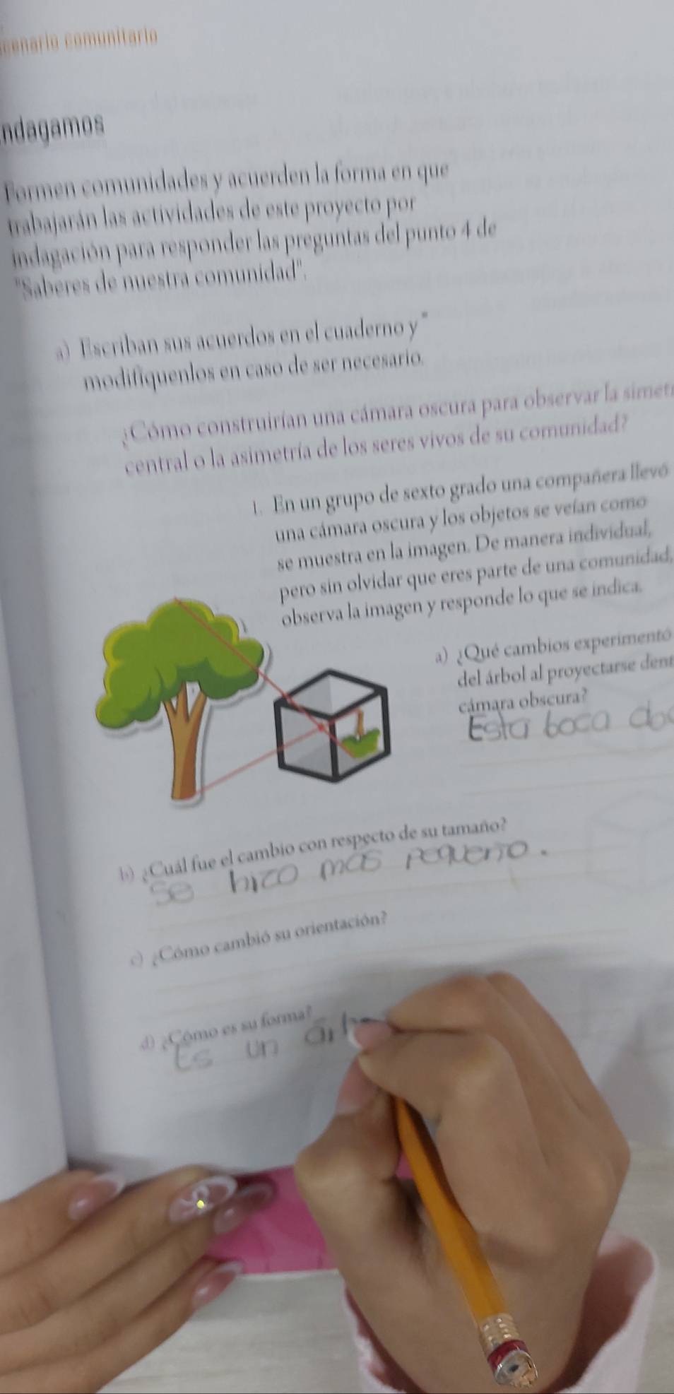 cenario comunitario 
Indagamos 
Formen comunidades y acuerden la forma en que 
trabajarán las actividades de este proyecto por 
indagación para responder las preguntas del punto 4 de 
''Saberes de nuestra comunidad''. 
a) Escriban sus acuerdos en el cuaderno y " 
modifiquenlos en caso de ser necesario. 
:Cómo construirían una cámara oscura para observar la simeta 
central o la asimetría de los seres vivos de su comunidad? 
1. En un grupo de sexto grado una compañera llevó 
una cámara oscura y los objetos se veían como 
se muestra en la imagen. De manera individual, 
olvidar que eres parte de una comunidad, 
observa la imagen y responde lo que se indica. 
a) ¿Qué cambios experimentó 
del árbol al proyectarse dent 
cámara obscura? 
b) ¿Cuál fue el cambio con respecto de su tamaño? 
) ¿Cómo cambió su orientación? 
Cómo es su formal