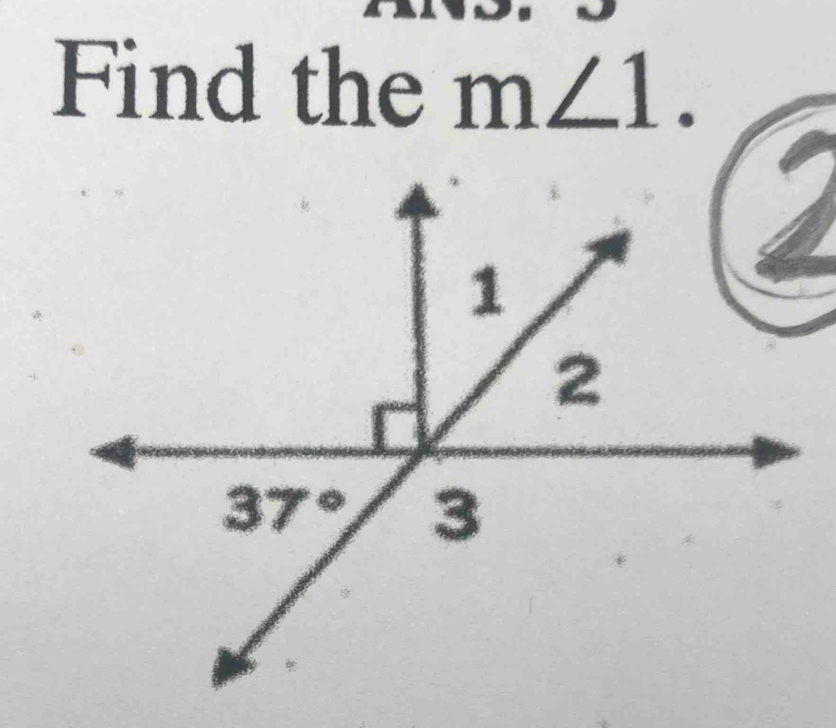 Find the m∠ 1.