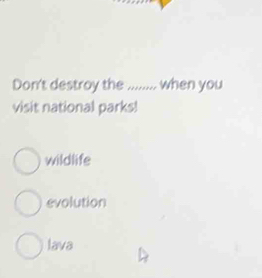 Don't destroy the ........ when you
visit national parks!
wildlife
evolution
lava