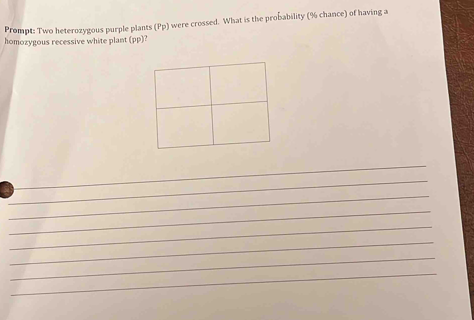 Prompt: Two heterozygous purple plants (Pp) were crossed. What is the probability (% chance) of having a 
homozygous recessive white plant (pp)? 
_ 
_ 
_ 
_ 
_ 
_ 
_ 
_