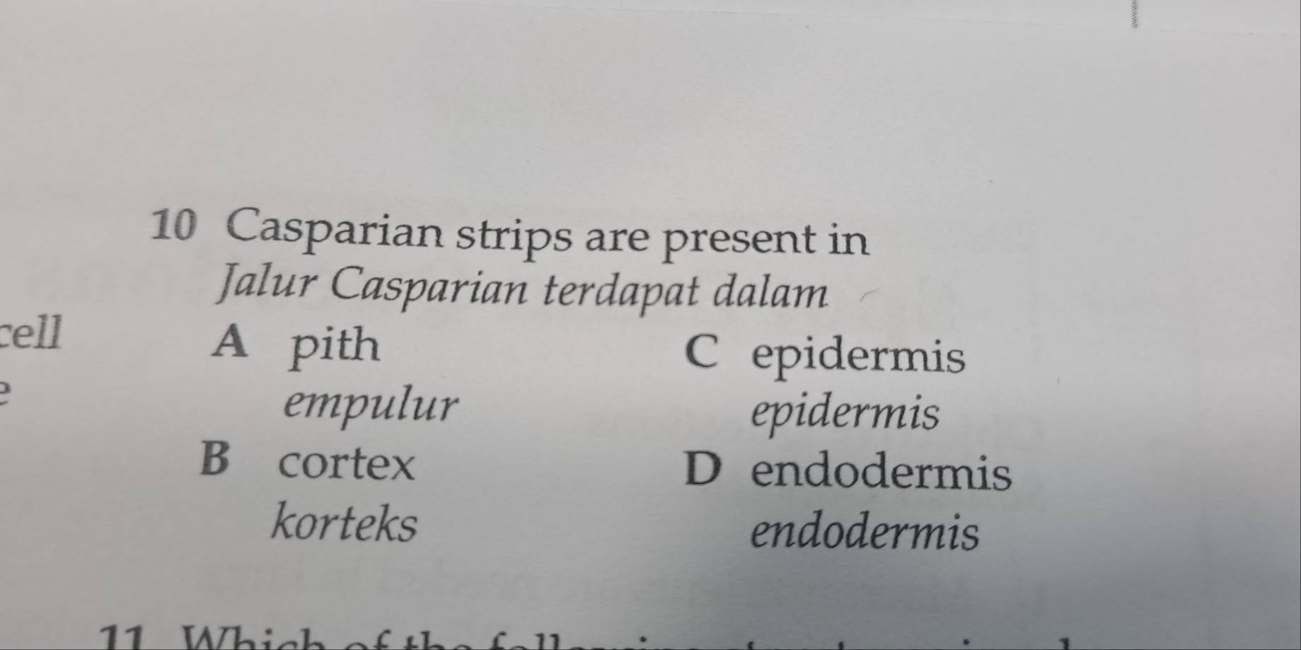 Casparian strips are present in
Jalur Casparian terdapat dalam
cell
A pith C epidermis
empulur epidermis
B cortex D endodermis
korteks endodermis
11 Which C