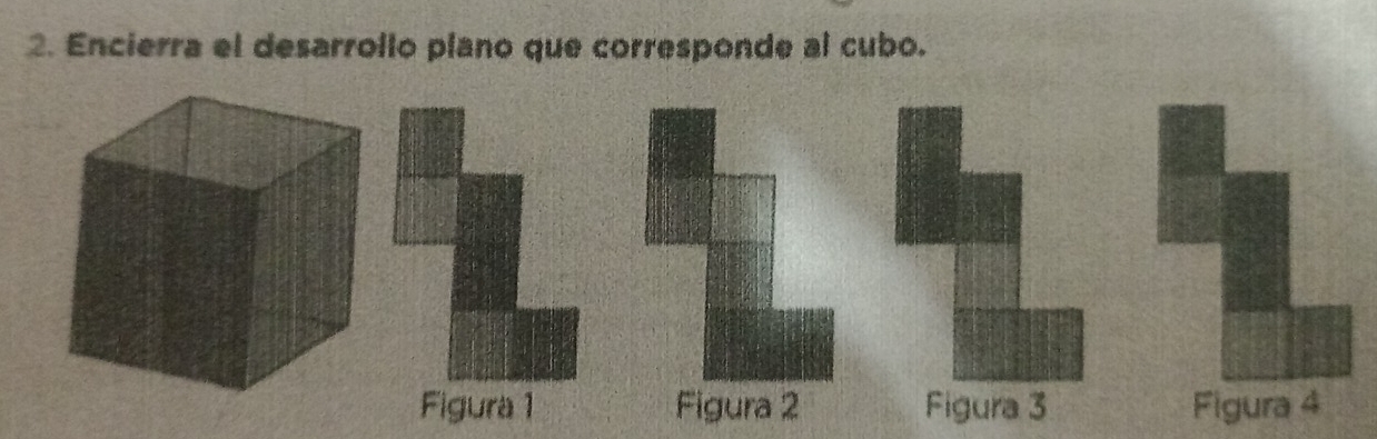 Encierra el desarrollo plano que corresponde al cubo. 
Figura 1