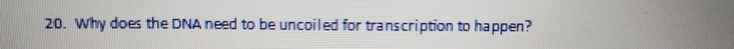 Why does the DNA need to be uncoiled for transcription to happen?