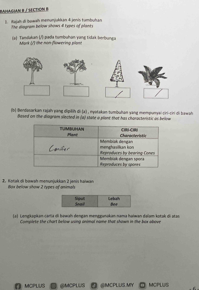 BAHAGIAN B / SECTION B 
1. Rajah di bawah menunjukkan 4 jenis tumbuhan 
The diagram below shows 4 types of plants 
(a) Tandakan (/) pada tumbuhan yang tidak berbunga 
Mark (/) the non-flowering plant 
(b) Berdasarkan rajah yang dipilih di (a) , nyatakan tumbuhan yang mempunyai ciri-ciri di bawah 
Based on the diagram slected in (a) state a plant that has characteristic as below 
2. Kotak di bawah menunjukkan 2 jenis haiwan 
Box below show 2 types of animals 
(a) Lengkapkan carta di bawah dengan menggunakan nama haiwan dalam kotak di atas 
Complete the chart below using animal name that shown in the box above 
MCPLUS @MCPLUS J @MCPLUS.MY MCPLUS