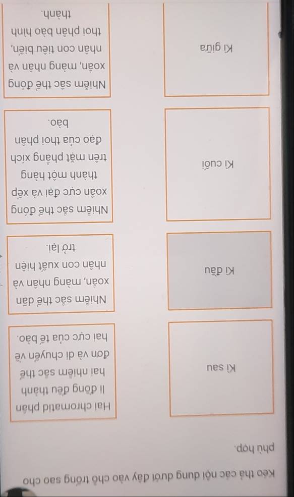 Kéo thả các nội dung dưới đây vào chỗ trống sao cho
phù hợp.
Hai chromatid phân
li đōng đều thành
Kì sau hai nhiêm sắc thế
đơn và di chuyến về
hai cực của tế bào.
Nhiễm sắc thể dãn
xoắn, màng nhân và
Kì đầu
nhân con xuất hiện
trở lại.
Nhiễm sắc thể đóng
xoắn cực đại và xếp
thành một hàng
Kì cuối
trên mặt phẳng xích
đạo của thoi phân
bào.
Nhiễm sắc thể đóng
xoắn, màng nhân và
Kì giữa nhân con tiêu biến,
thoi phân bào hình
thành.