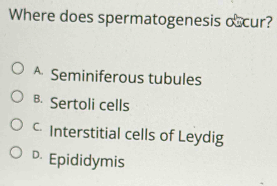 Where does spermatogenesis o cur?
^ Seminiferous tubules
B. Sertoli cells
Interstitial cells of Leydig
D Epididymis