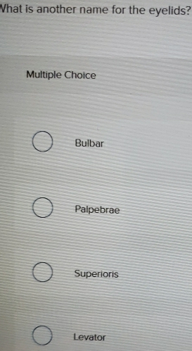 What is another name for the eyelids?
Multiple Choice
Bulbar
Palpebrae
Superioris
Levator