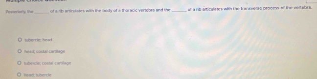 Posteriorly, the_ of a rib articulates with the body of a thoracic vertebra and the_ of a rib articulates with the transverse process of the vertebra.
tubercle; head
head; costal cartilage
tubercle; costal cartilage
head; tubercle