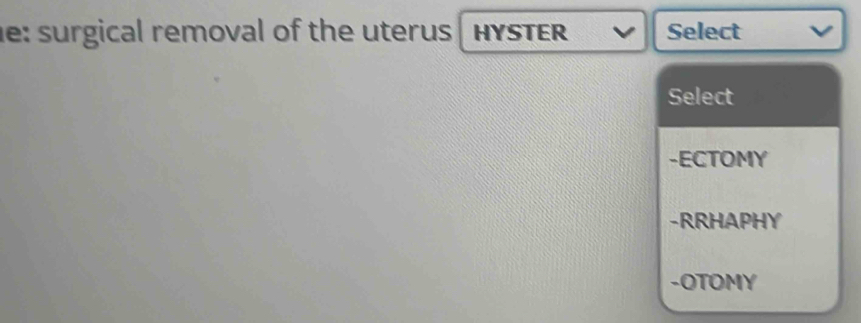 e: surgical removal of the uterus HYSTER Select
Select
-ECTOMY
-RRHAPHY
-OTOMY