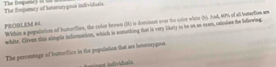 The frequency of a a 
The frequency of heterozygous individuals. 
Within a population of butterflies, the color brown (B) is dominant over the color white (b). And, 40% of all butterflies are 
PROBLEM #4 
white. Given this simple information, which is something that is very likely to be on an exam, calculate the following 
The percentage of butterflics in the population that are heterozygous. 
dividuals.