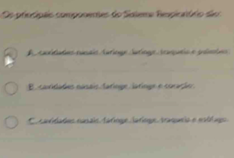 Os principais componentes do Saleme Respinróro dã
A coldades cucais Antioge Sutaga Acqna e panatns
Ba cavidades nanais taringe áringe e corarão .
Ca caddades nasais fárioge Jarioge. traqueia e estlago.